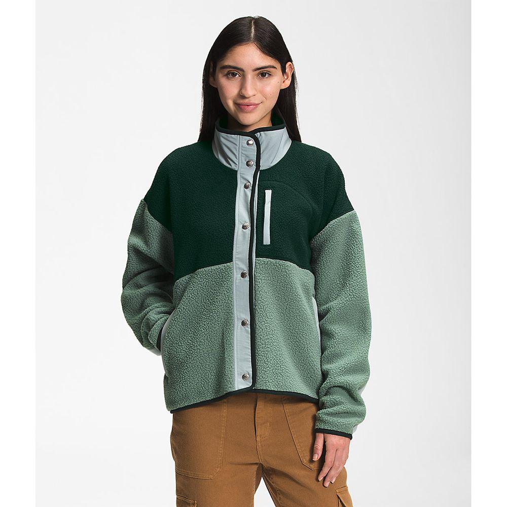 The North Face Cragmont Γυναικεια Μπουφάν Fleece - Πρασινο (ICHF85206)